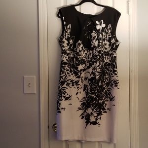 Firm Price***Lovely Shift Dress (Never Worn)